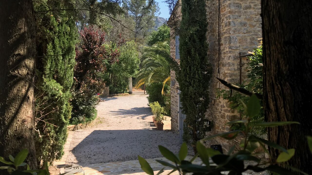 Photo of Outdoor in Bandol