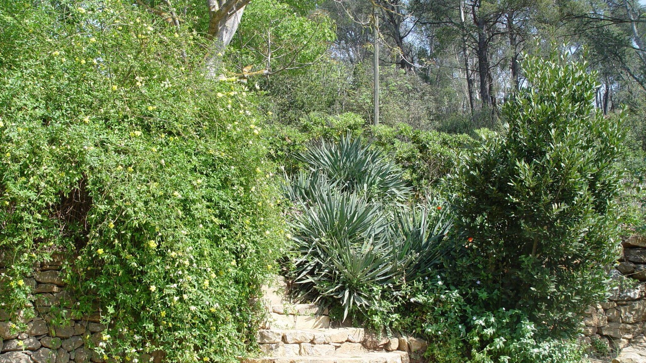 Photo of Outdoor in Bandol