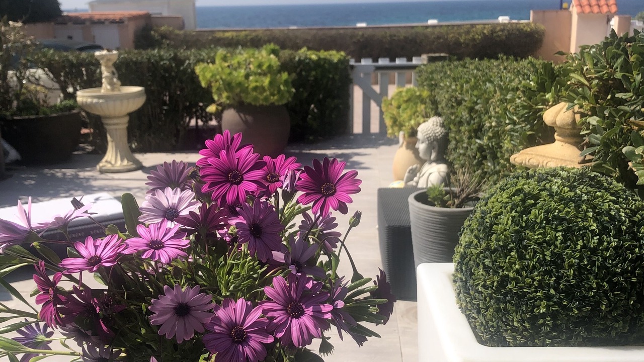Photo of Patio Balcony in Sanary-sur-Mer