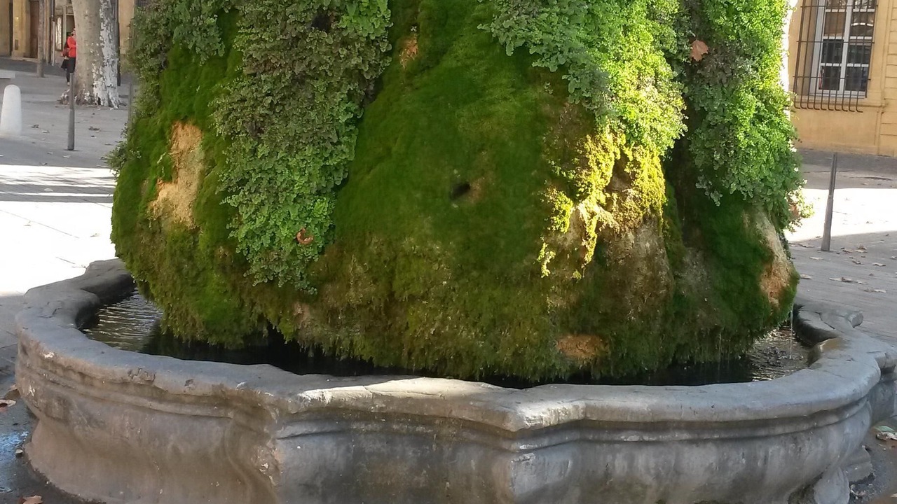 Photo of Outdoor in Couronne Urbaine
