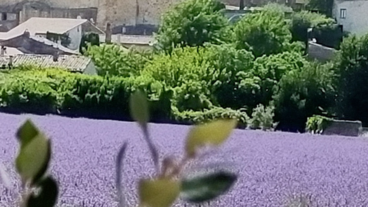 Photo of Outdoor in Grillon