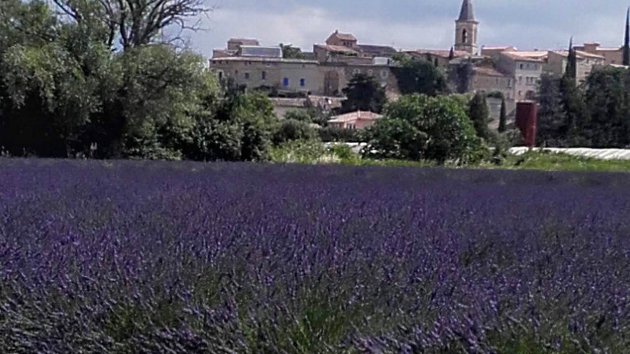 Photo of Outdoor in Grillon