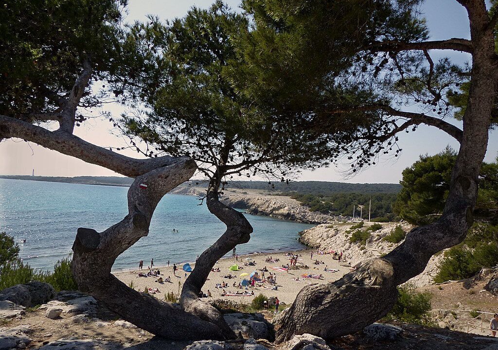 Photo of Others in Chateauneuf-les-Martigues