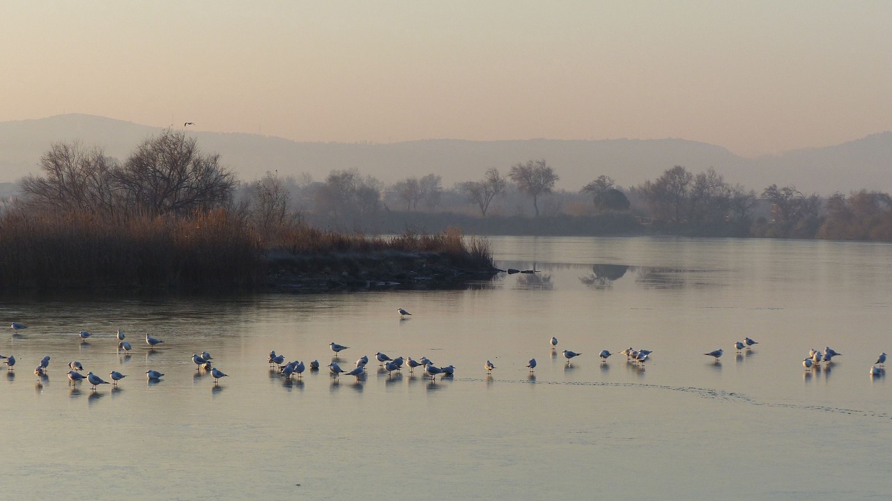 Photo of Others in Chateauneuf-les-Martigues