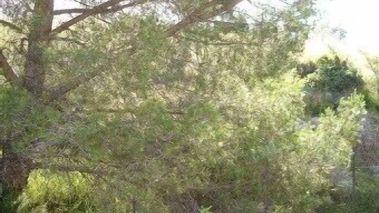 Photo of Outdoor in Alleins