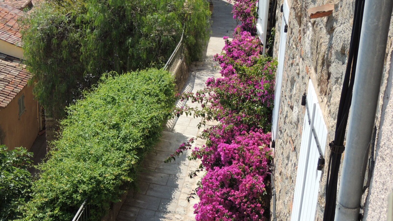 Photo of Outdoor in Grimaud