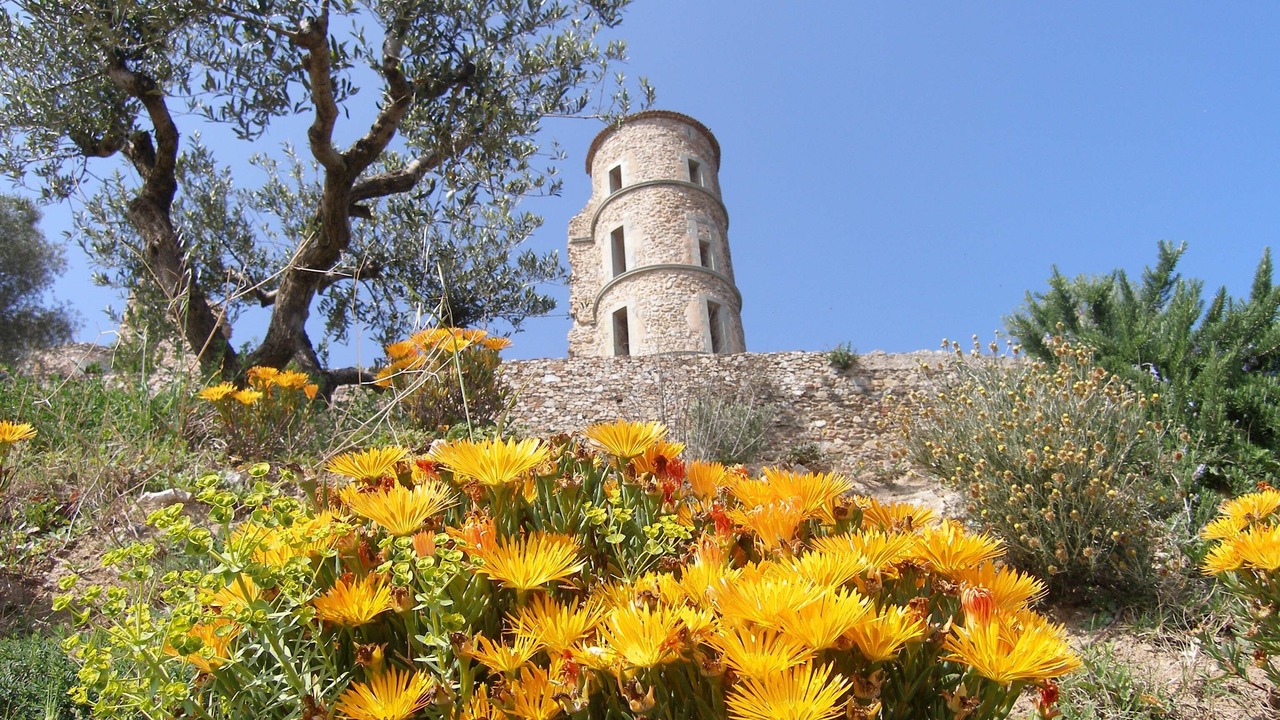 Photo of Outdoor in Grimaud