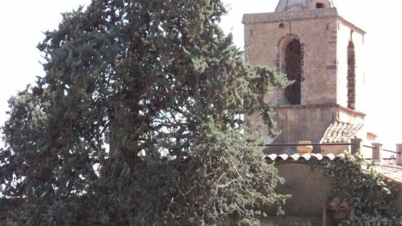 Photo of Others in Grimaud