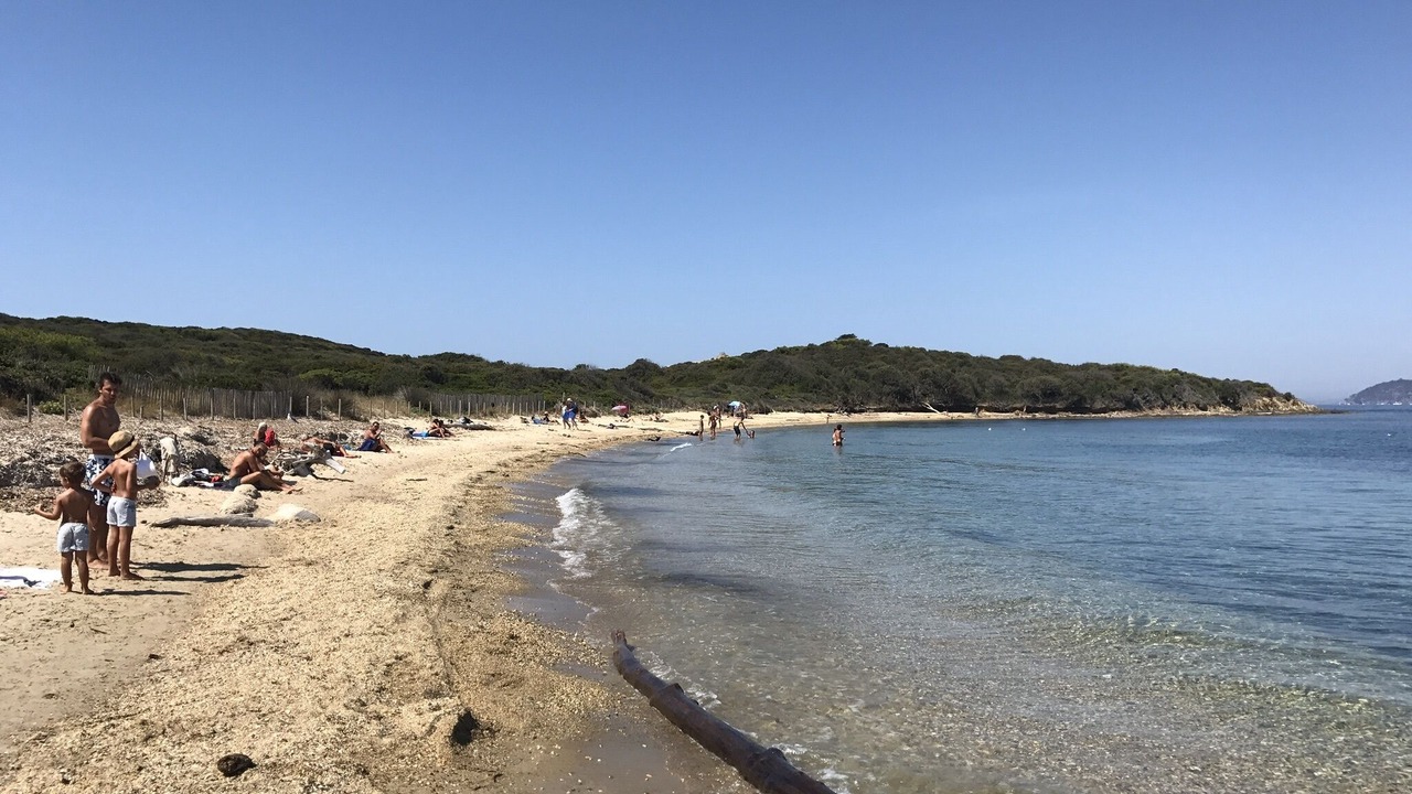 Photo of Others in Porquerolles