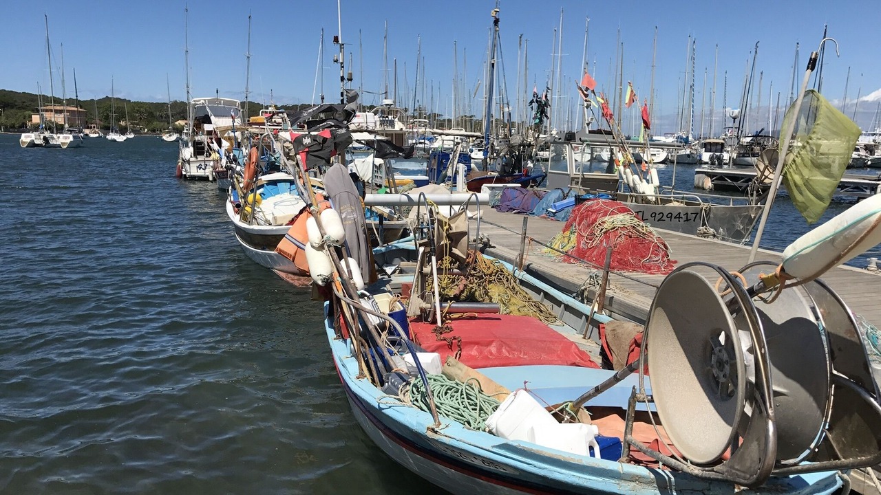 Photo of Others in Porquerolles