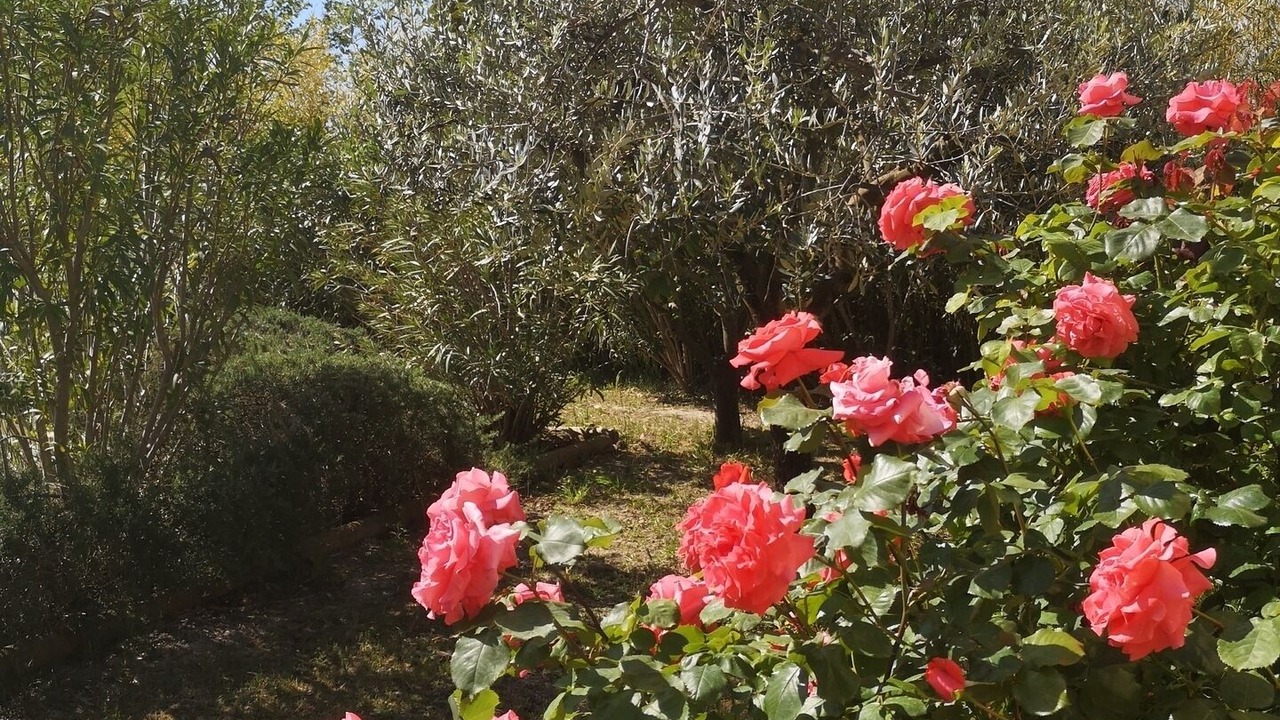 Photo of Outdoor in Vallabregues