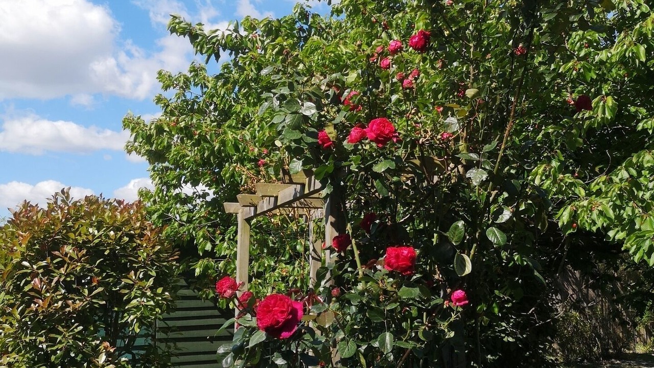 Photo of Outdoor in Vallabregues