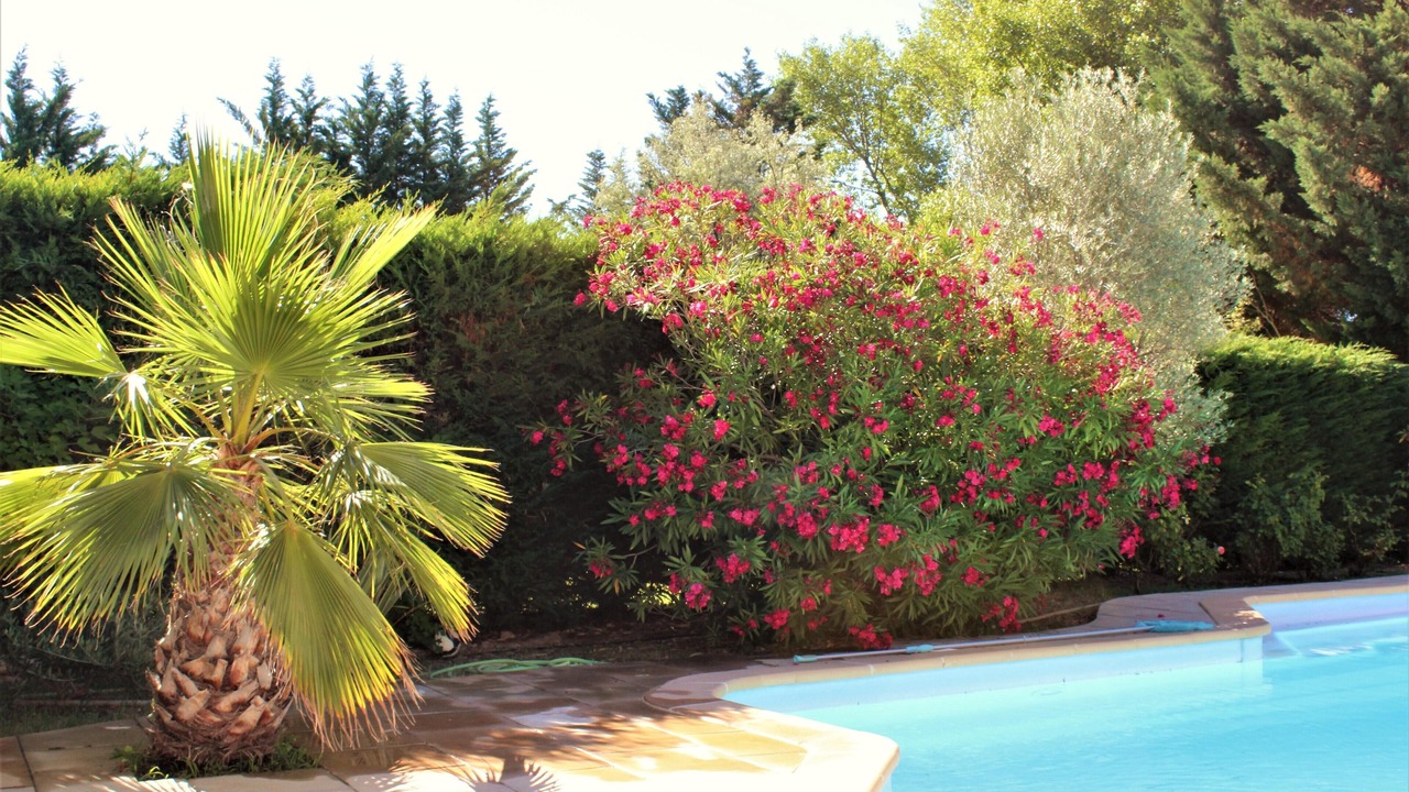 Photo of Outdoor in Aix-en-Provence