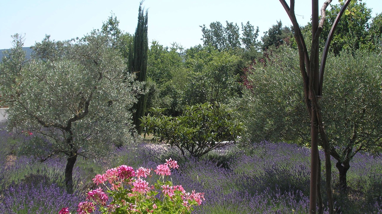Photo of Outdoor in Lacoste