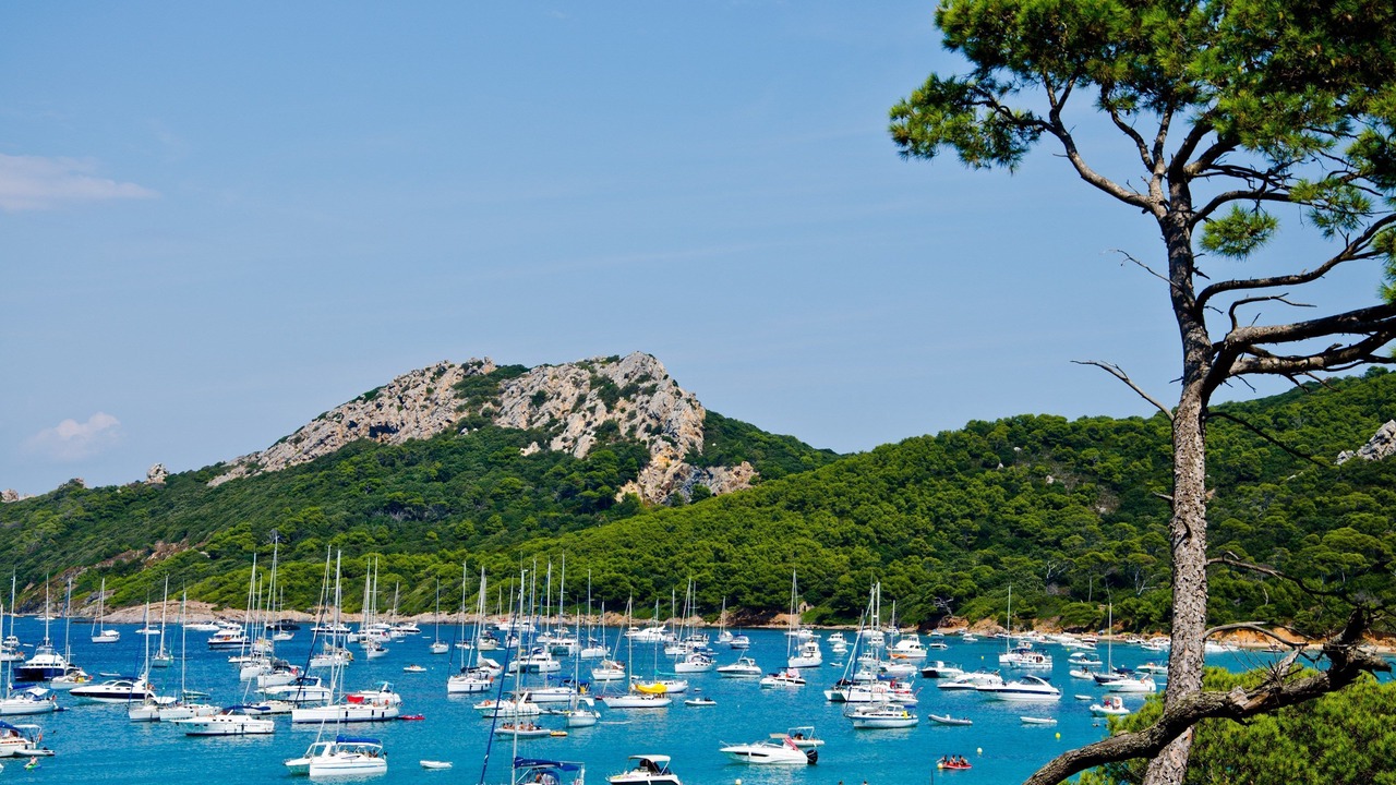 Photo of Others in Saint-Mandrier-sur-Mer