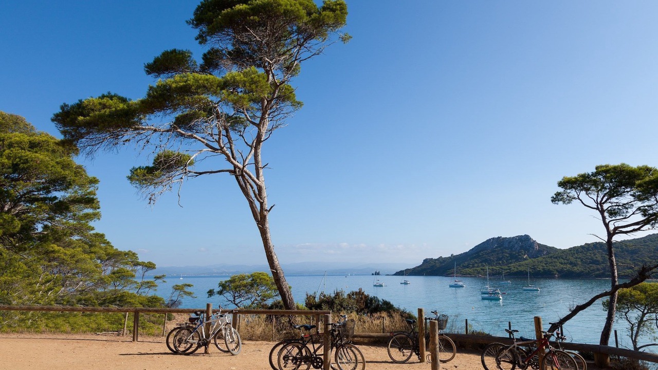 Photo of Others in Saint-Mandrier-sur-Mer