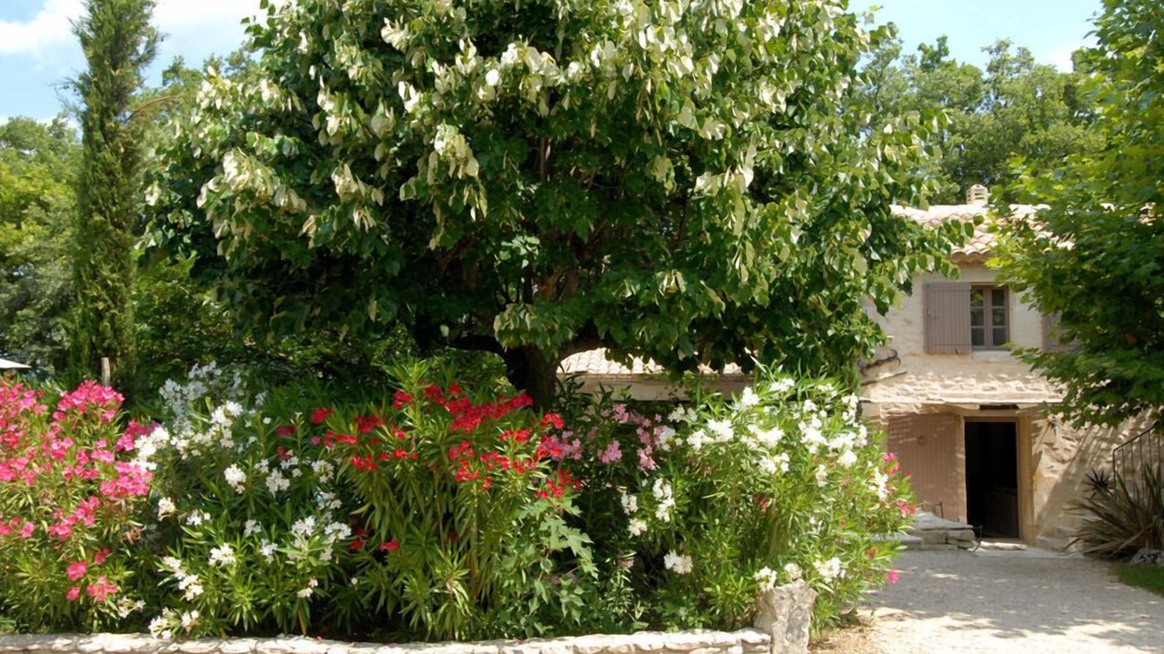 Photo of Outdoor in Saignon