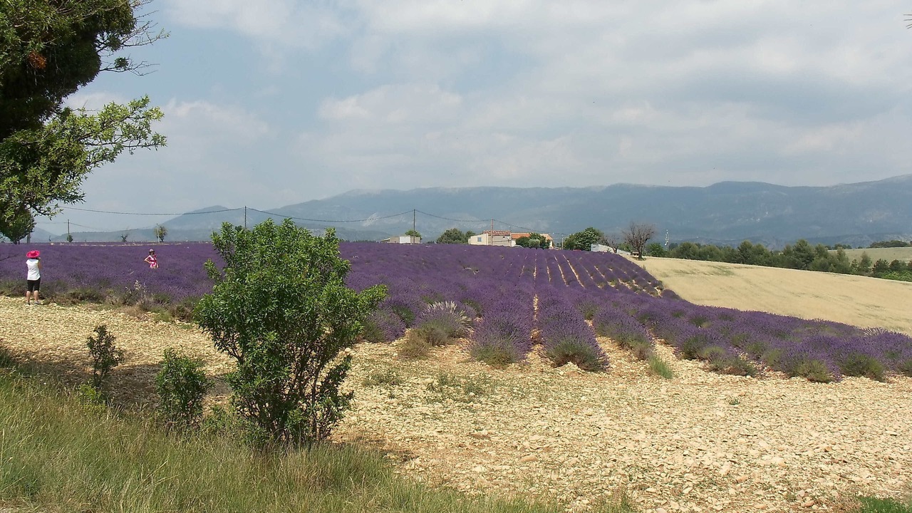 Photo of Others in Sainte-Croix-du-Verdon