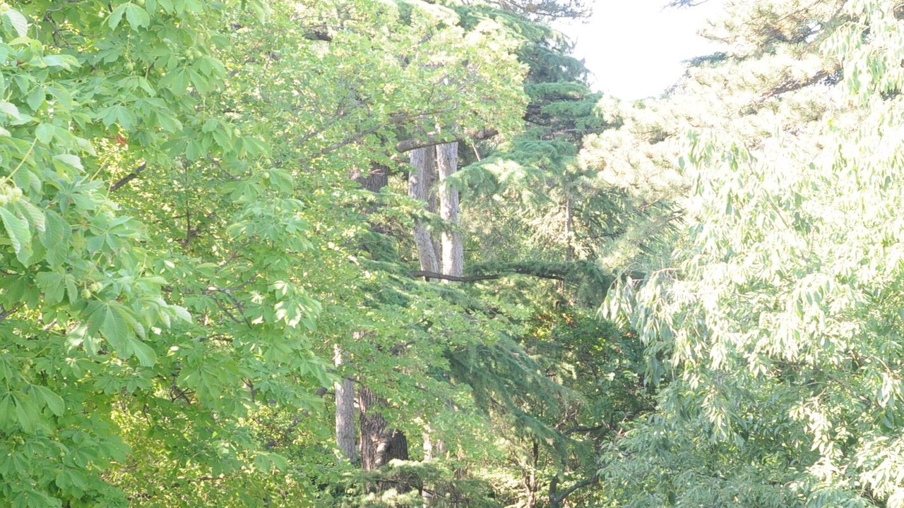 Photo of Others in Merindol