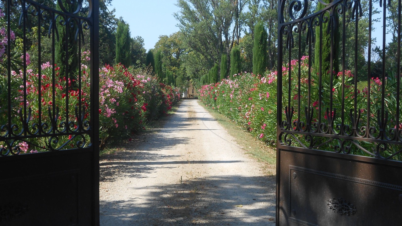 Photo of Outdoor in Molleges