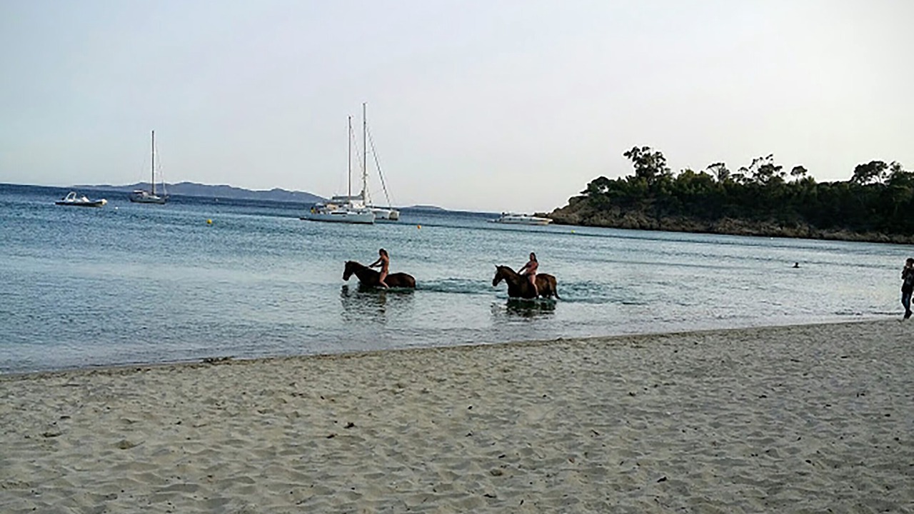 Photo of Others in Cavaliere Beach