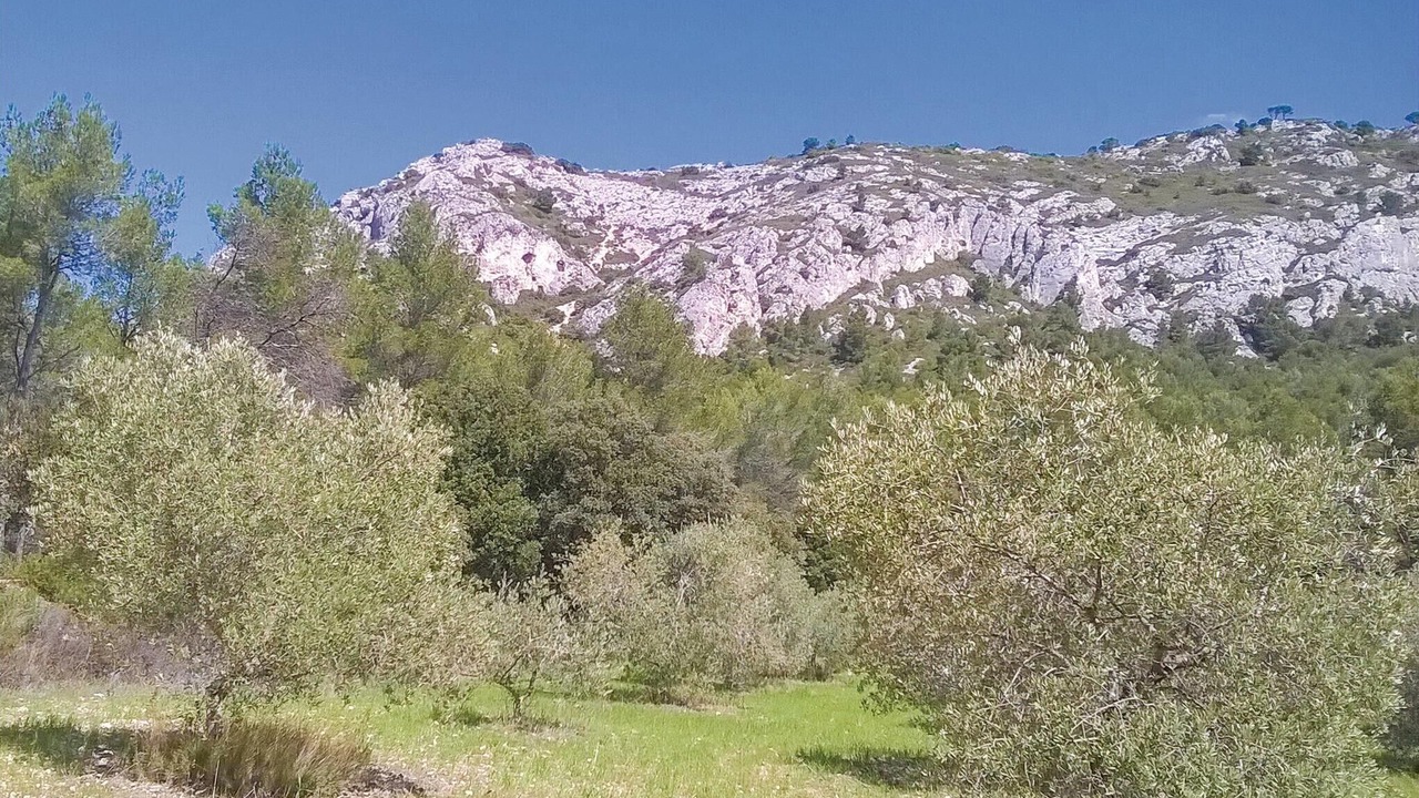 Photo of Others in Saint-Hilaire-d'Ozilhan