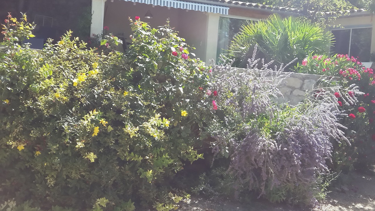Photo of Outdoor in La Roche-sur-le-Buis