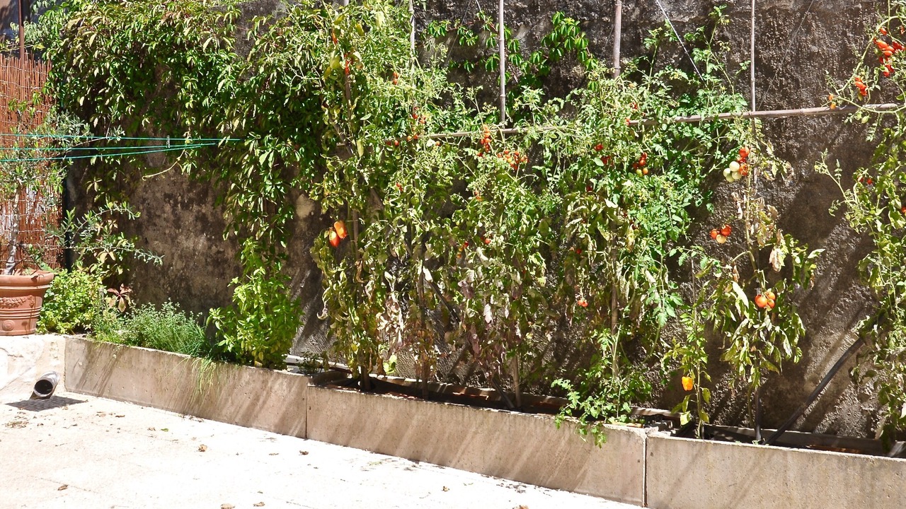 Photo of Outdoor in Mallemort