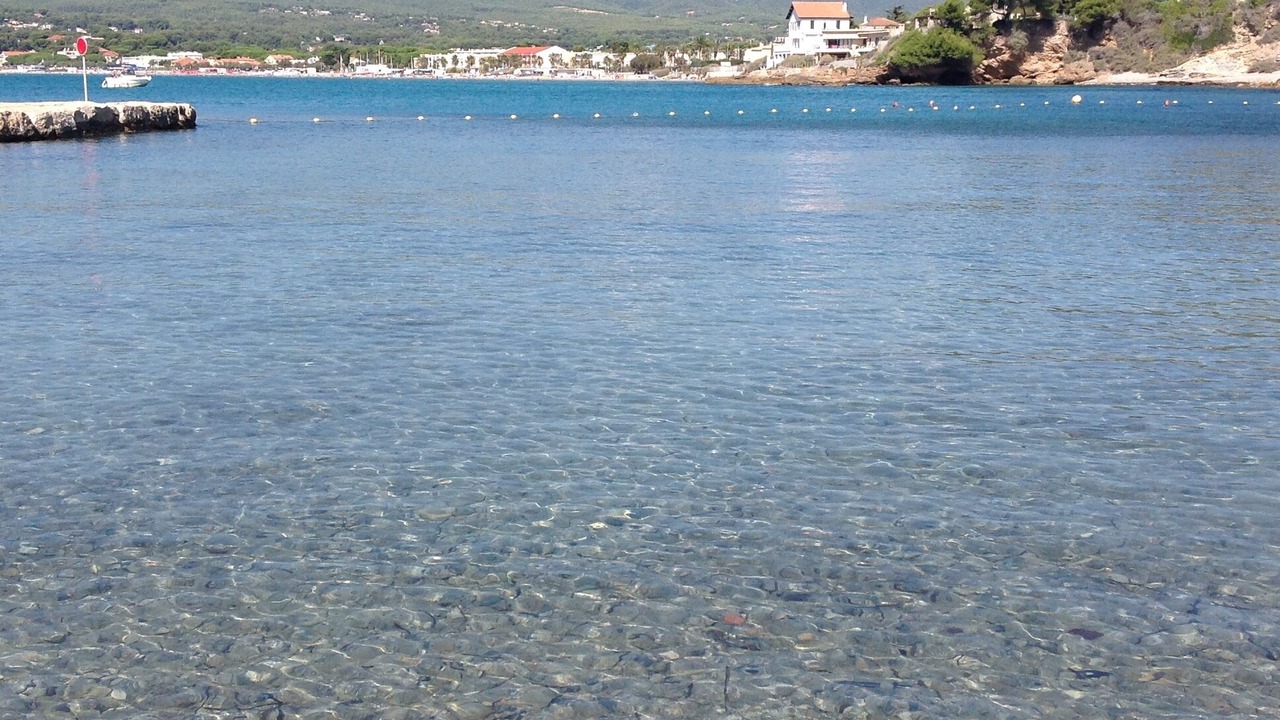 Photo of Others in La Madrague