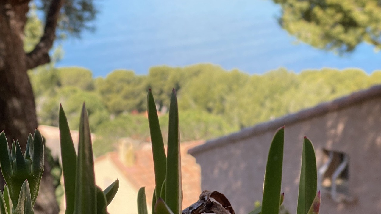 Photo of Outdoor in La Madrague
