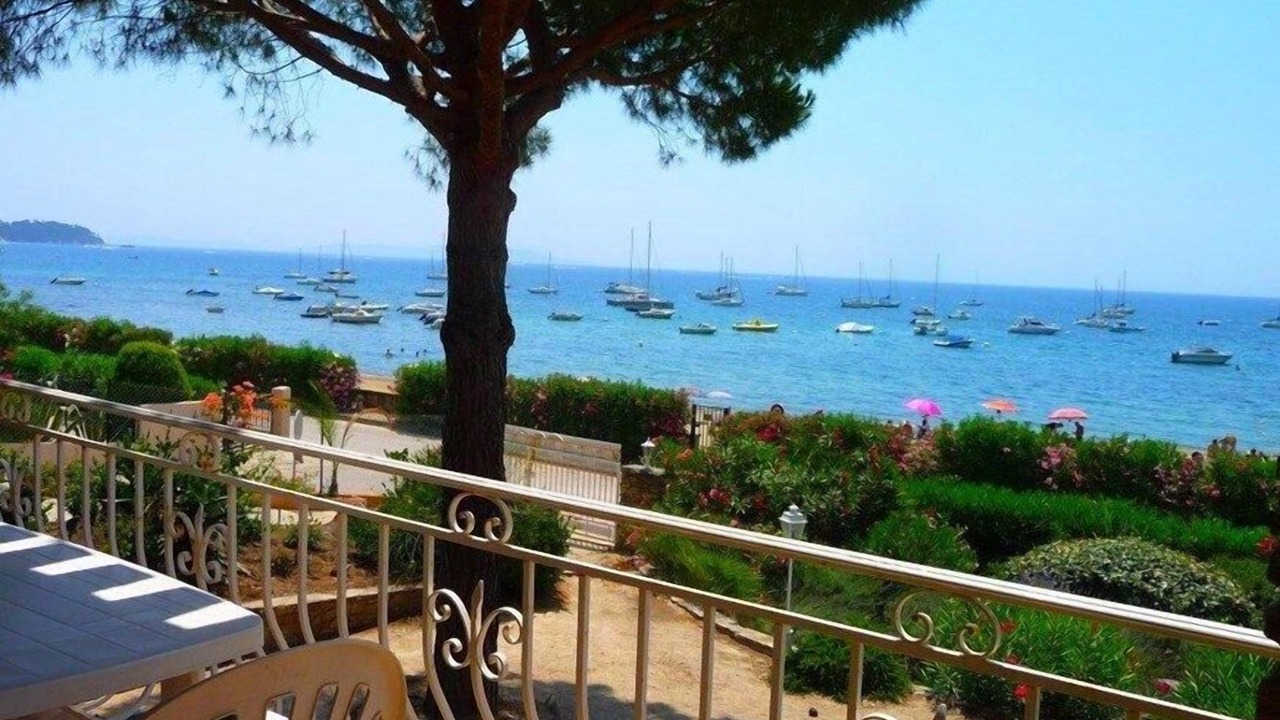 Photo of Others in La Londe-les-Maures