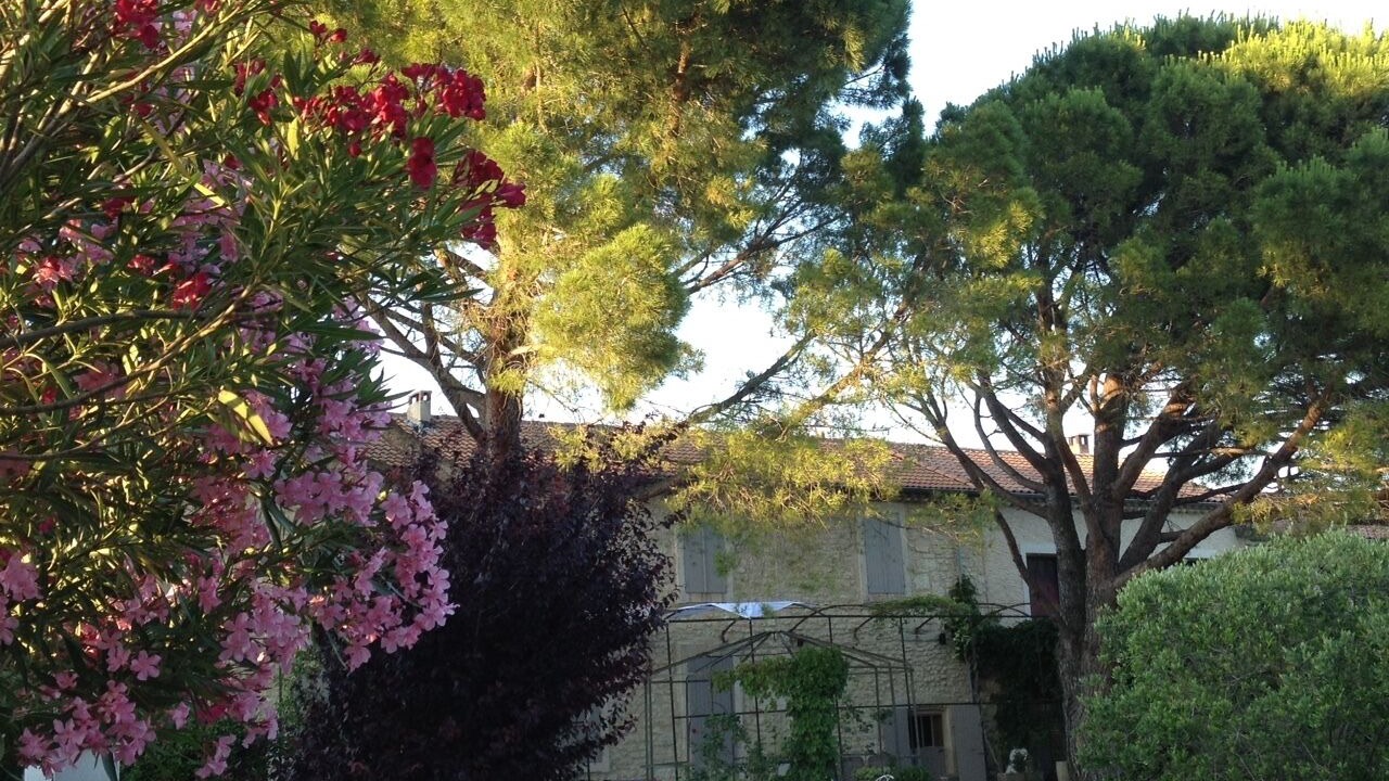 Photo of Outdoor in Montsegur-sur-Lauzon