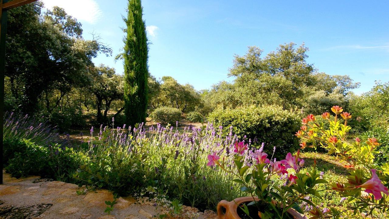 Photo of Outdoor in Bonnieux