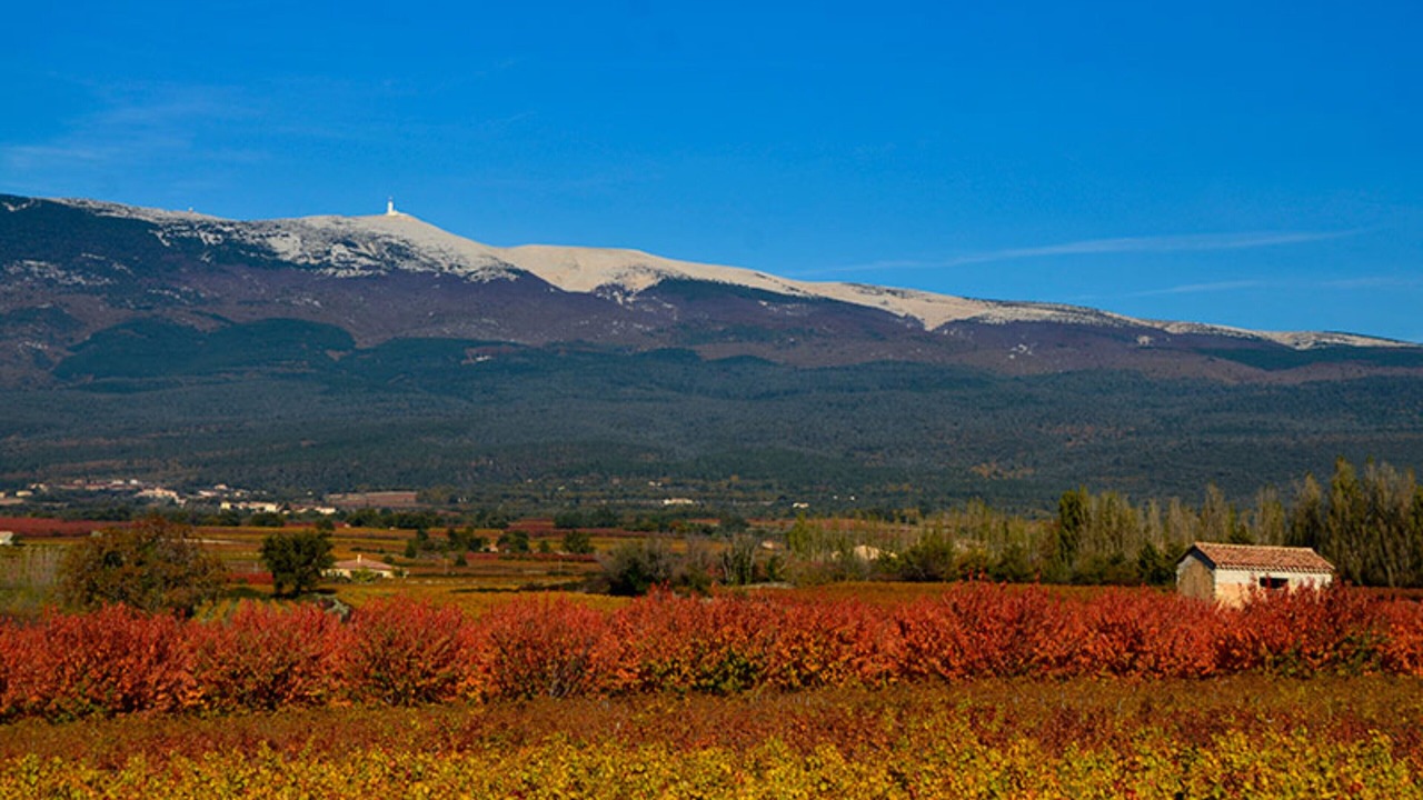 Photo of Outdoor in Velleron