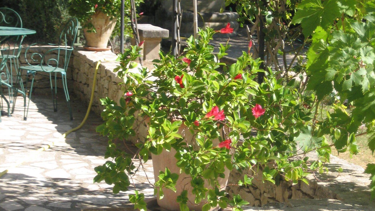 Photo of Outdoor in Malemort-du-Comtat