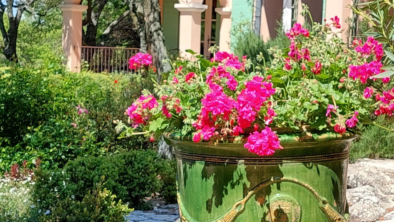 Photo of Outdoor in Malemort-du-Comtat