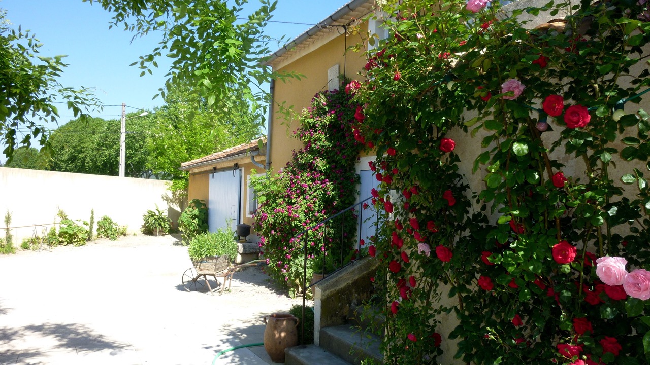Photo of Outdoor in Gargas