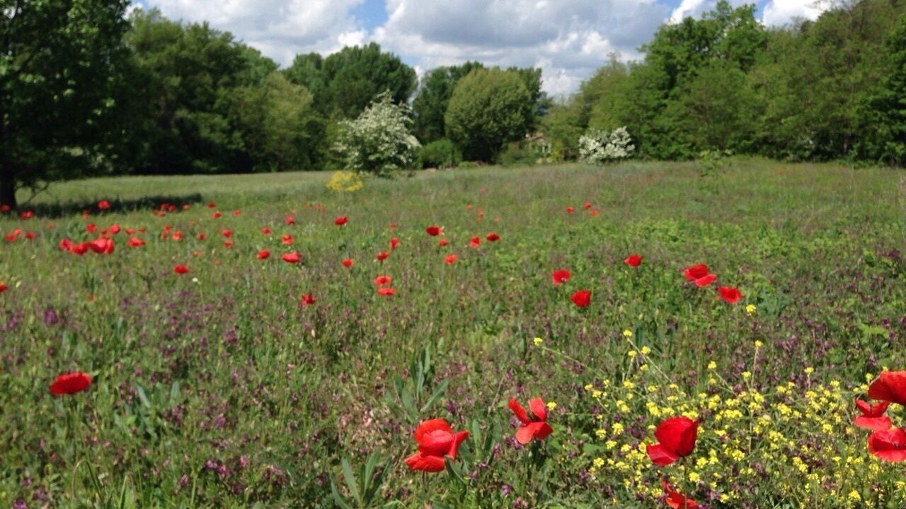 Photo of Outdoor in Valernes