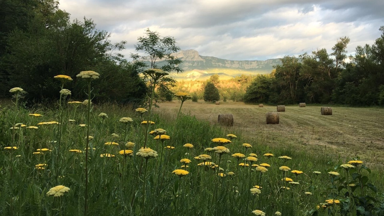 Photo of Outdoor in Valernes