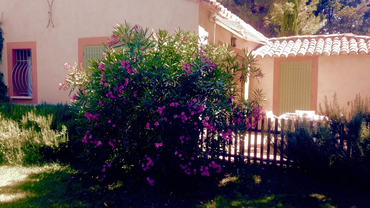 Photo of Outdoor in Saint-Saturnin-les-Avignon