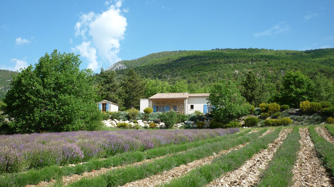 Photo of Outdoor in Buis-les-Baronnies