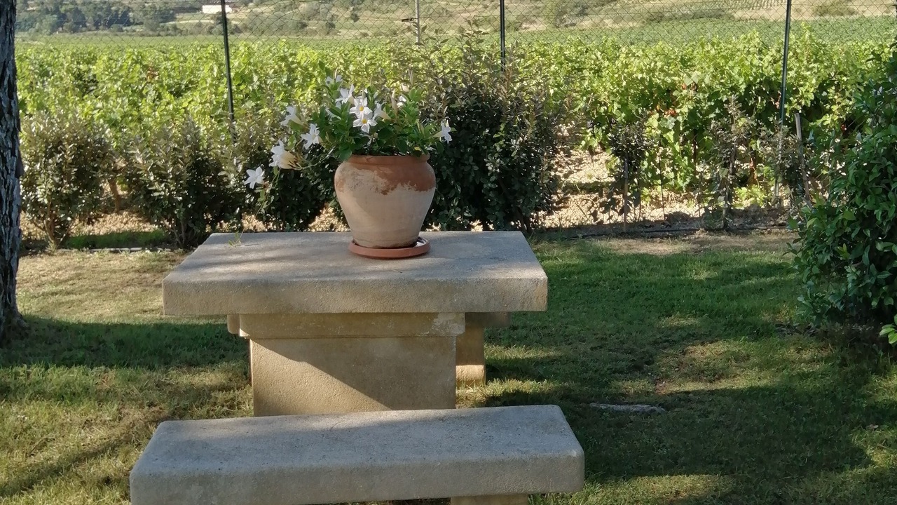 Photo of Outdoor in Vacqueyras