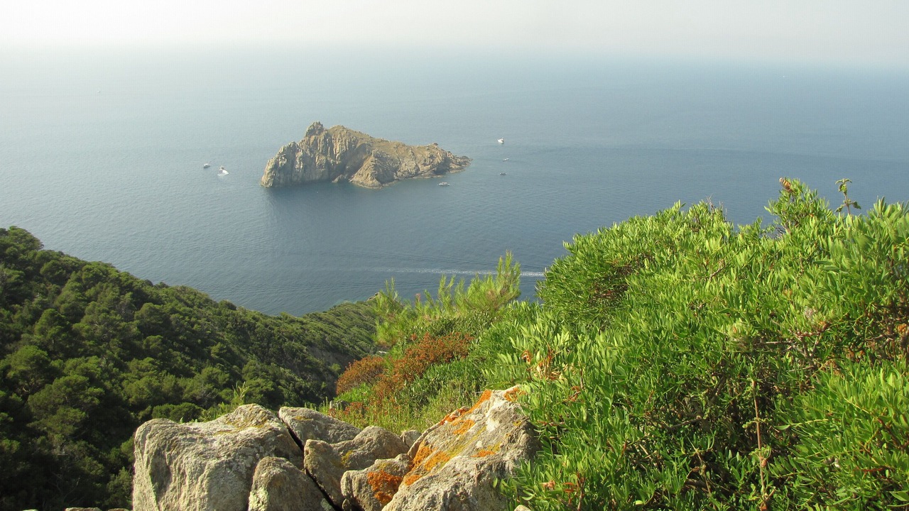 Photo of Others in Le Lavandou
