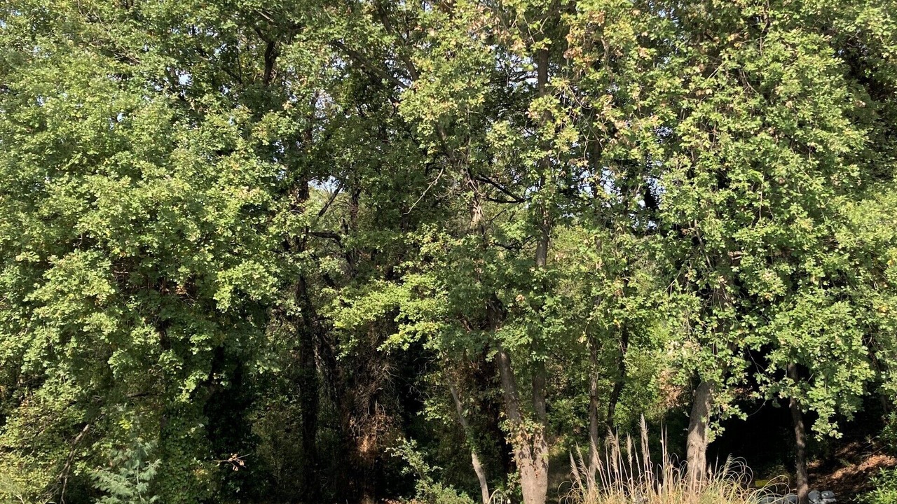 Photo of Outdoor in La Garde-Freinet