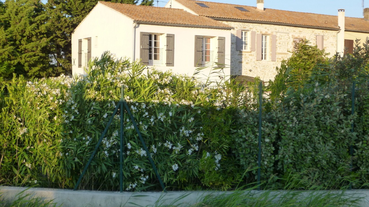 Photo of Outdoor in Jonquerettes