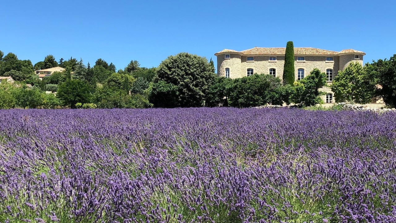 Photo of Outdoor in Lioux