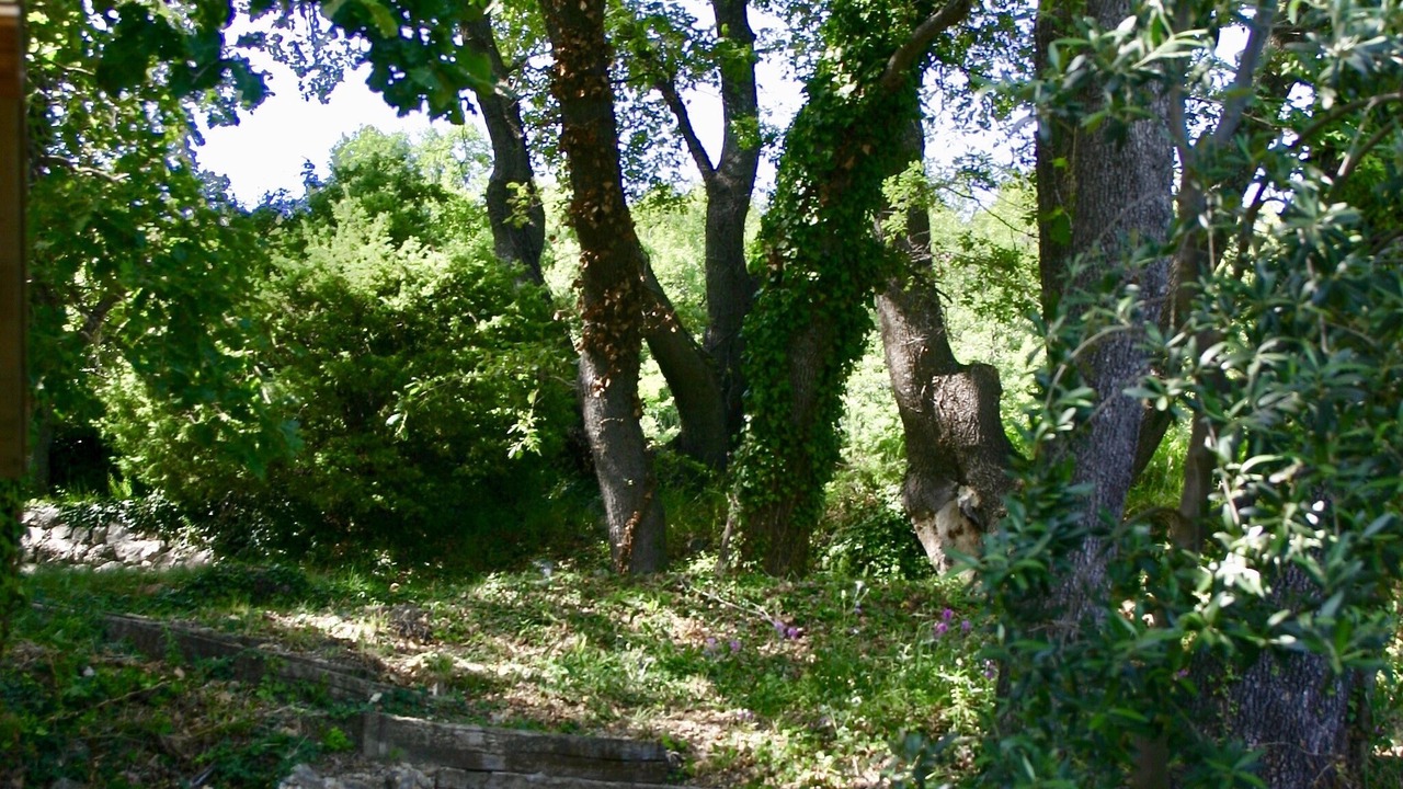 Photo of Outdoor in Bargemon