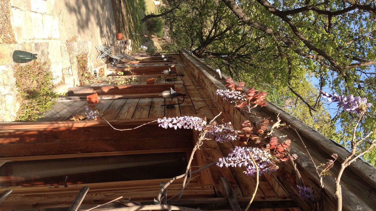 Photo of Outdoor in Bargemon