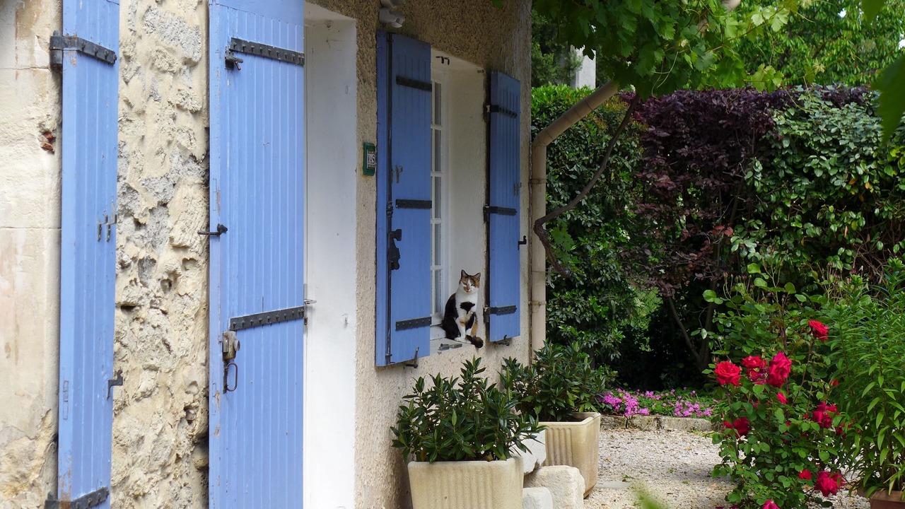 Photo of Outdoor in Rognonas