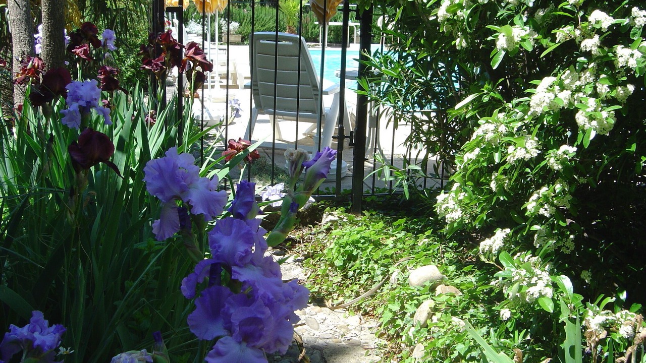 Photo of Outdoor in Rognonas